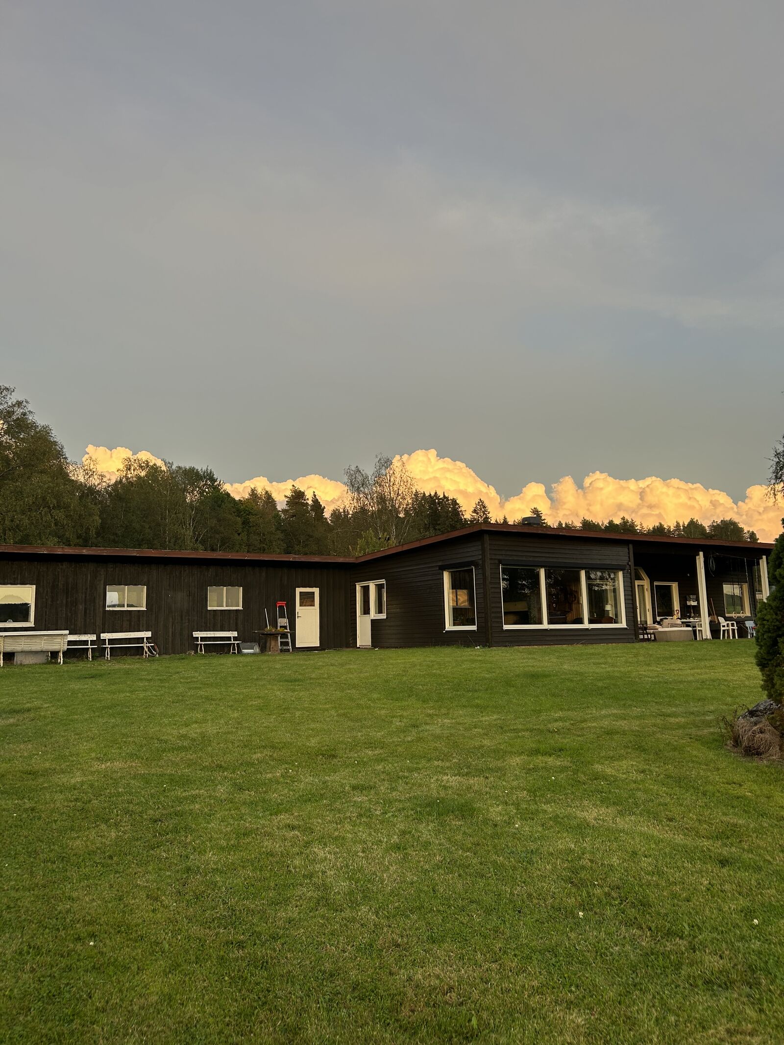 Tunet på gården i kveldslys, med jorder og skog rundt